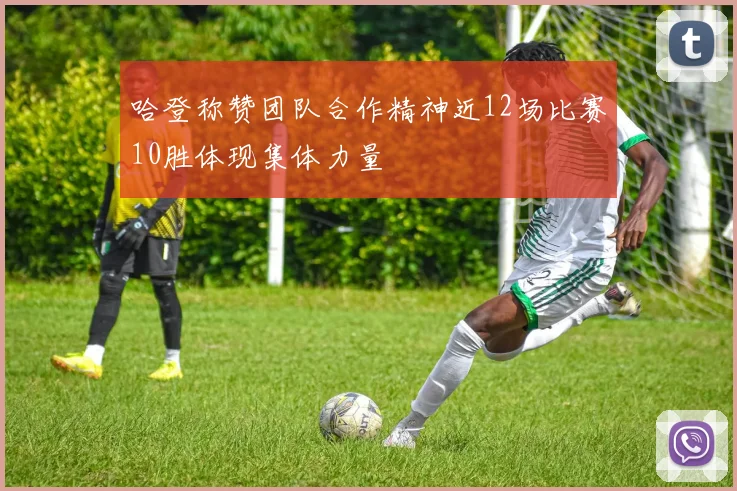 哈登称赞团队合作精神近12场比赛10胜体现集体力量
